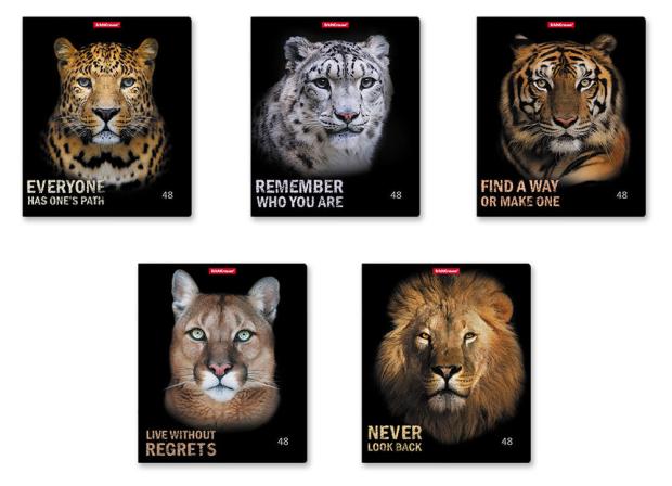 

Тетрадь ErichKrause Strong Brave в клетку А5+, 48 л