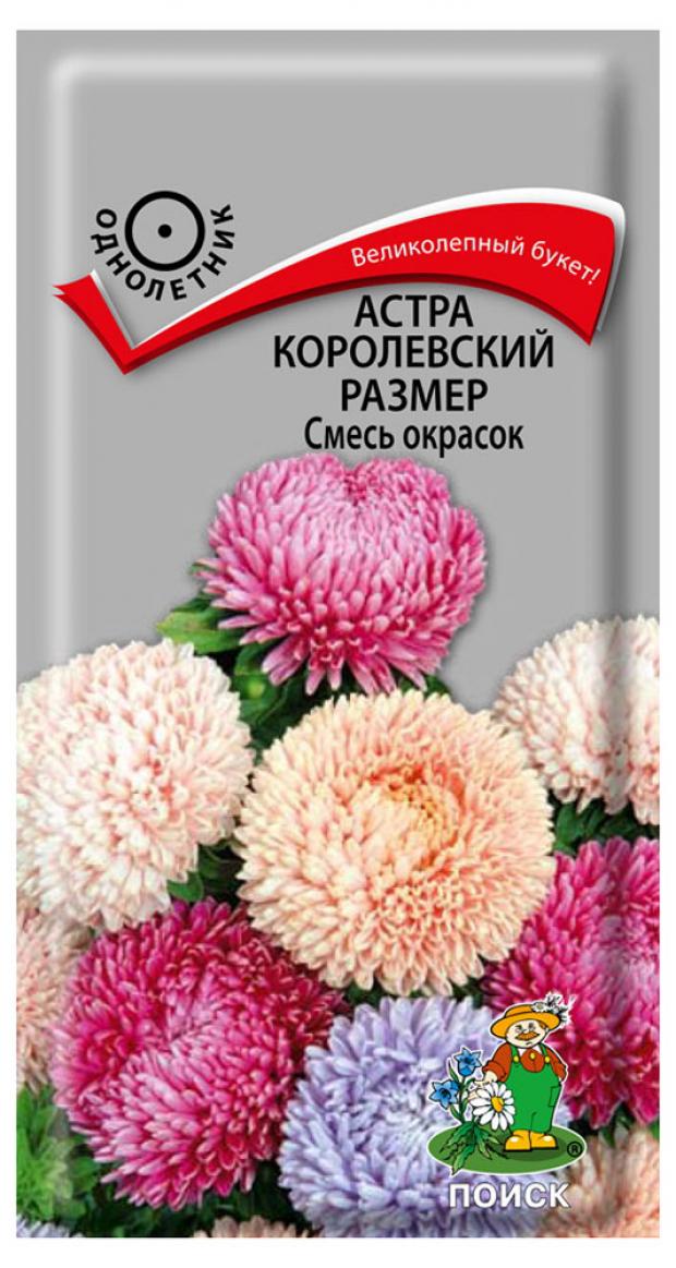 

Семена Астра «Поиск» Королевский размер смесь, 0,1 г