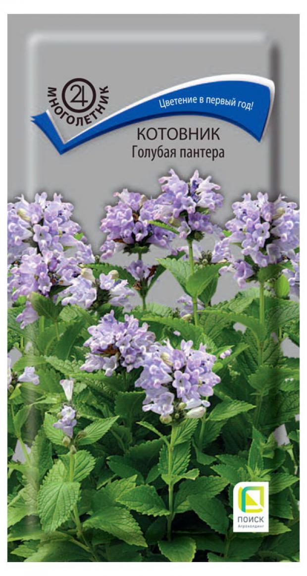 

Семена Котовник «Поиск» Голубая пантера, 10 шт