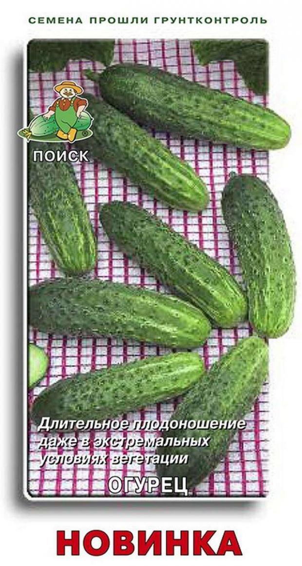 

Семена Огурец Поиск Новинка, 15 шт