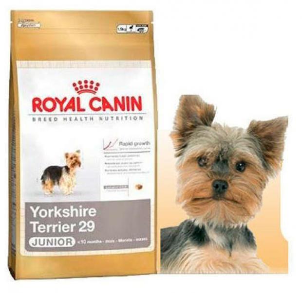 Корм для щенков Royal Canin Yorkshire Terrier Junior сухой, 500 г груминг спрей для собак и щенков породы йоркширский терьер блеск