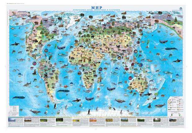 Карта настенная Атлас Принт Мир Природные зоны, животные и растения, 1 х 0,7 м