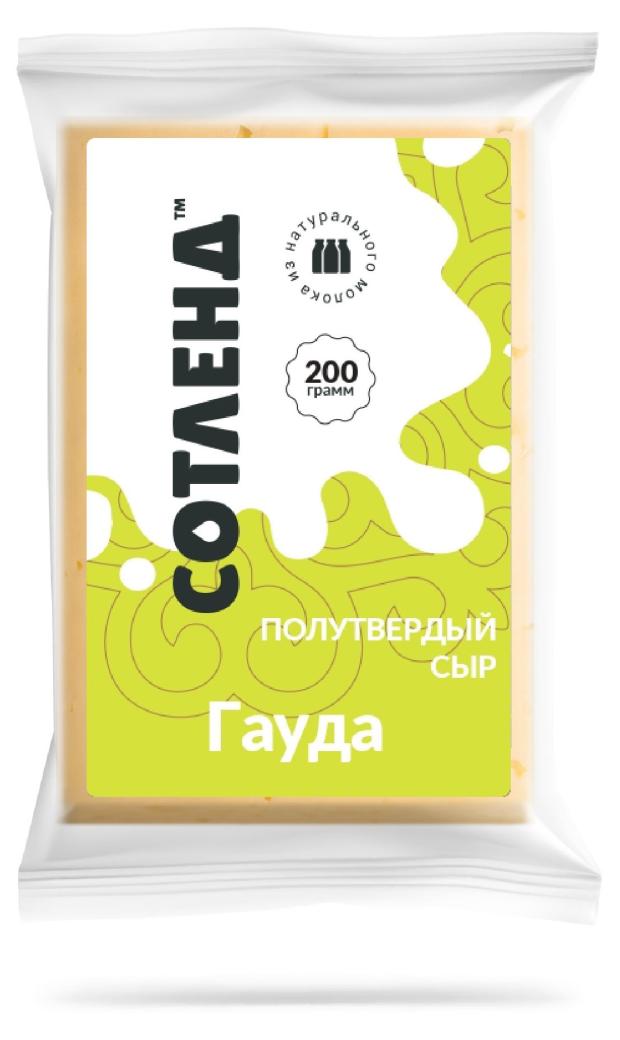 Сыр полутвердый Сотленд Гауда 45% БЗМЖ, 200 г