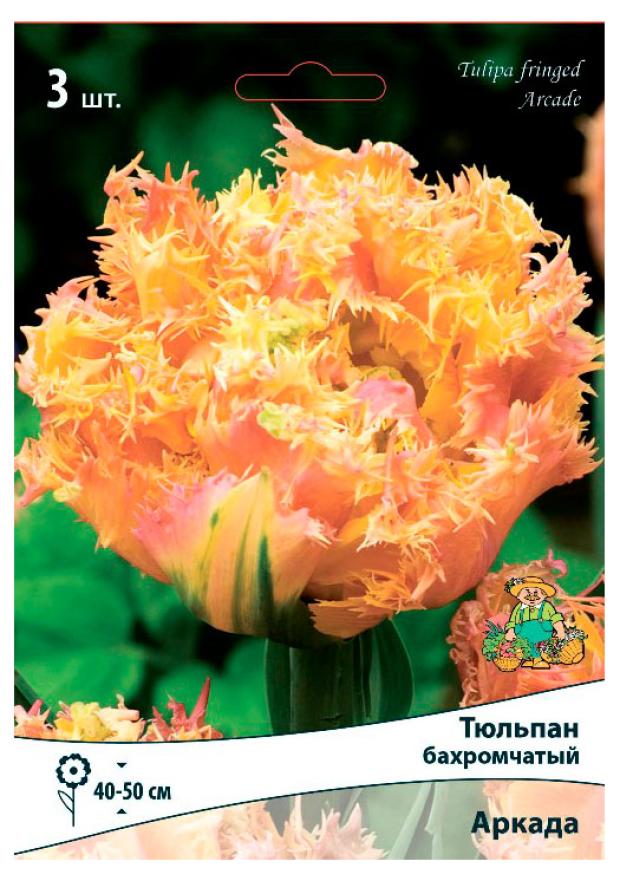 

Тюльпаны Поиск микс, 3 шт